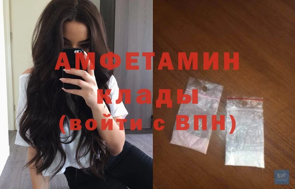шишки Баксан