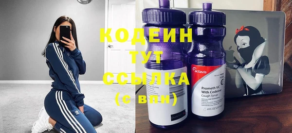 шишки Баксан